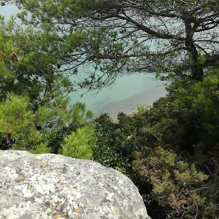 Casa Do Facho * São Martinho do Porto