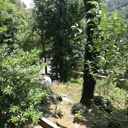 Casa Do Facho Casa vacanze São Martinho do Porto