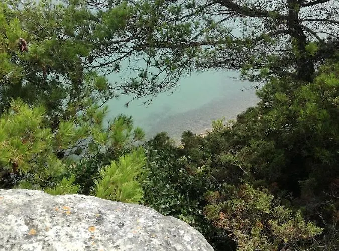 Casa Do Facho * São Martinho do Porto