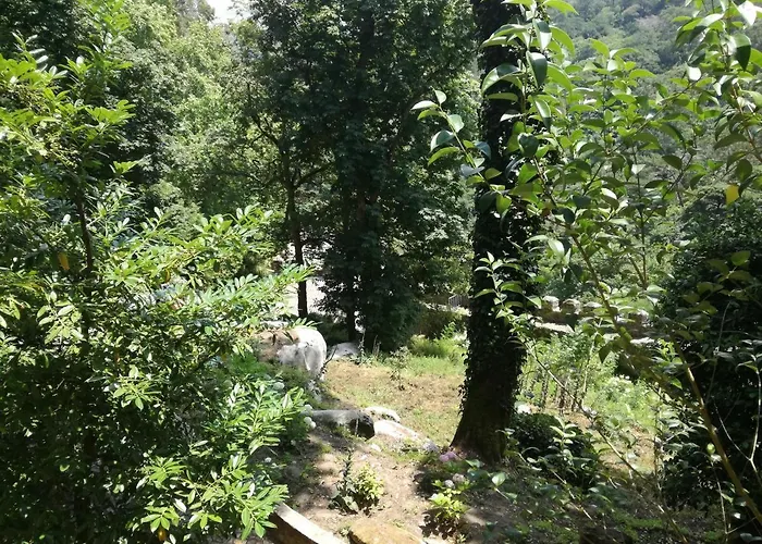 Casa Do Facho Сasa de vacaciones São Martinho do Porto